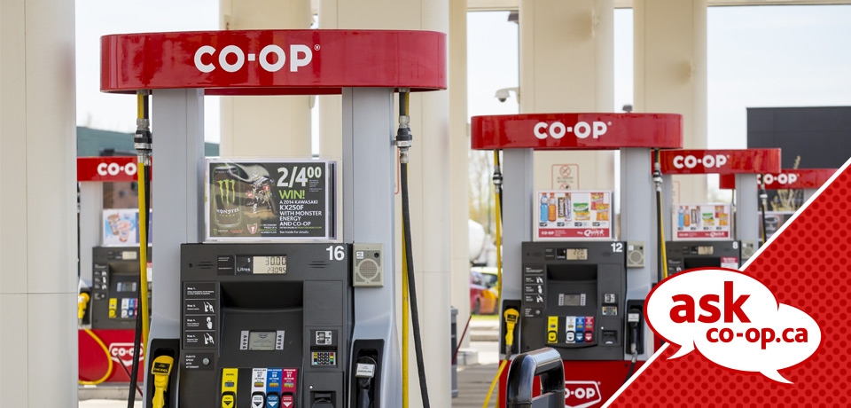 Discover the premium standard for gasoline