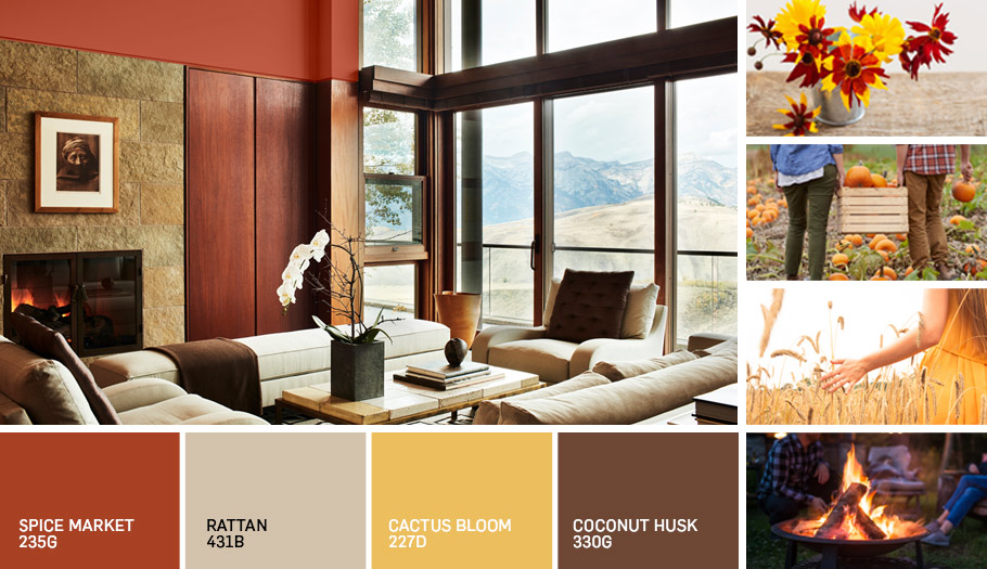 Paint | Co-op Home